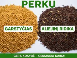 Perku garstyčias ir aliejini ridika