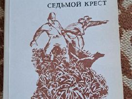 Knyga Anos zegers sedmoi krest