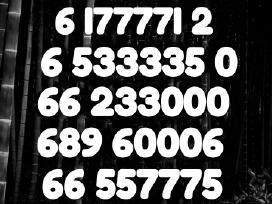 Gražūs VIP numeriai po 90€, 01110,08880,7777,09990