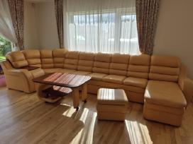 Odinė sofa-lova