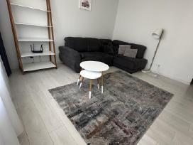 Nuomojamas Šviesus Jaukus 2kambarių Butas Centre