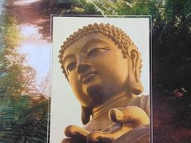 Siddhartha. Hermann Hesse