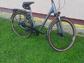 Pegasus premio SL