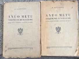 Anuo metu Viekšniuose ir Šiauliuose knyga