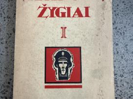 Savanorių žygiai,mūsų žygiai knygos