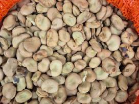 Didziosios pupos, 10kg 40e