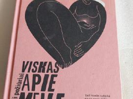 Viskas apie meilę