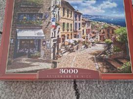 Nauja dėlionė 3000vnt