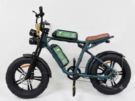 Rent engwe m20