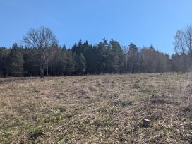 2.1 ha sklypas