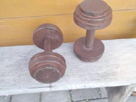 Svarmenys- chanteliai 9 kg