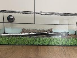 Priemonės sausumos vėžliui auginti