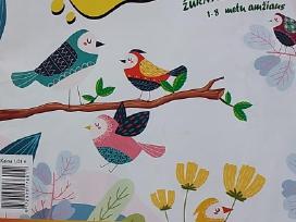 Vaikiškas žurnalas Tipu Tapu 2021 Nr.1