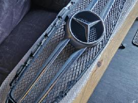 W205 grotele