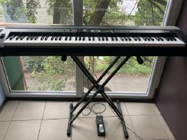 Thomann Dp-26 Skaitmeninis Pianinas