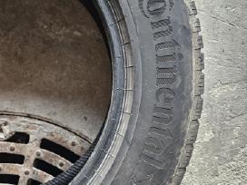 Žieminės Continental Wintercontact Ts870p
