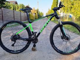 Giant Fathom er29