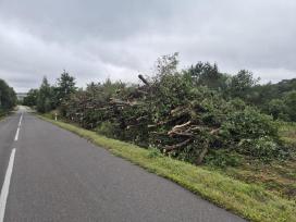 Biokuro pirkimas, sklypų valymas, malkų pirkimas