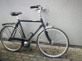 Gazelle Davos