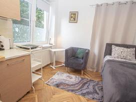 Studiju nuoma šalia Kliniku (Lsmu)