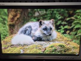 Monitorius Samsung Syncmaster 225bw 22.5"