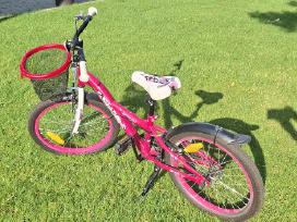 Dviratis 4kids Camo girl