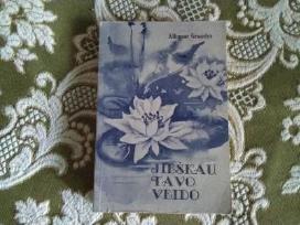 Jieškau tavo veido Alfonsas Grauslys