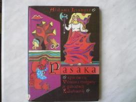 A. Liobytė - Pasaka apie narsią Vilniaus mergaitę