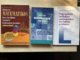 Intensyvus matematikos kurso kartojimas ruošiantis