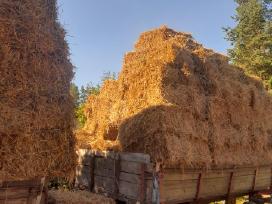 Akmenys. Šiaudai Avižos+vikiai.kviečiai. Miežiai.