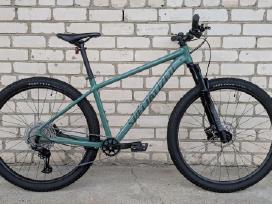 Specialized Rockhopper 29er