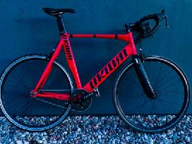 Unknown Singularity XL fixas single speed dviratis