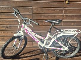 Shockblaze Jessy 20" 6g dydis 11,5"