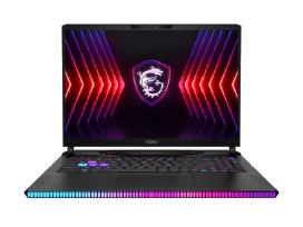 Msi Raider