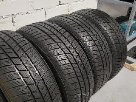 205/55 r16 žiemines padangos