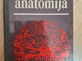 Patologinė anatomija