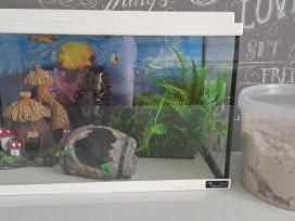 20l akvariumas