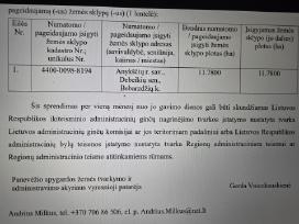 Žeme miškas