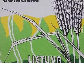 Lietuva prie balto stalo. Vasara