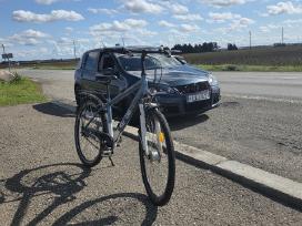 Atr special mudster Bocas