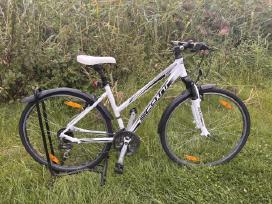 Scott lady sportster hibridinis dviratis