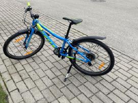 Scott Scale Junior '20 dviratis vaikams/paaugliams