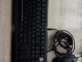 Razer Cynosa Chroma Rgb klaviatūra