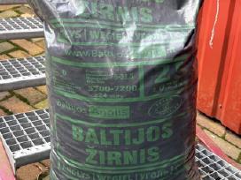 Parduodama akmens anglis „Baltijos Žirnis“