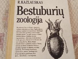Bestuburių Zoologija
