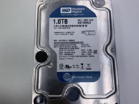 HDD Sata 3.5 1 TB Wd