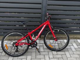 Orbea dviratis