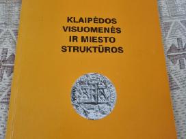 Klaipėdos visuomenės ir miesto struktūros