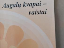 Knyga