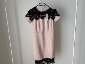 Dorothy Perkins Petite suknelė su nėriniais